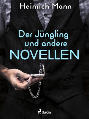 cover image of Der Jüngling und andere Novellen